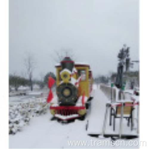 park cheep Track Electric sightseeing Train